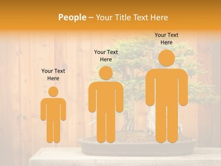 A Bonsai Tree On A Table In Front Of A Wooden Wall PowerPoint Template