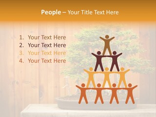 A Bonsai Tree On A Table In Front Of A Wooden Wall PowerPoint Template