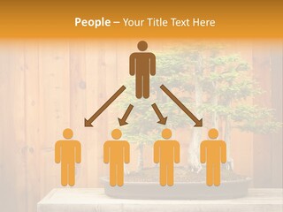 A Bonsai Tree On A Table In Front Of A Wooden Wall PowerPoint Template