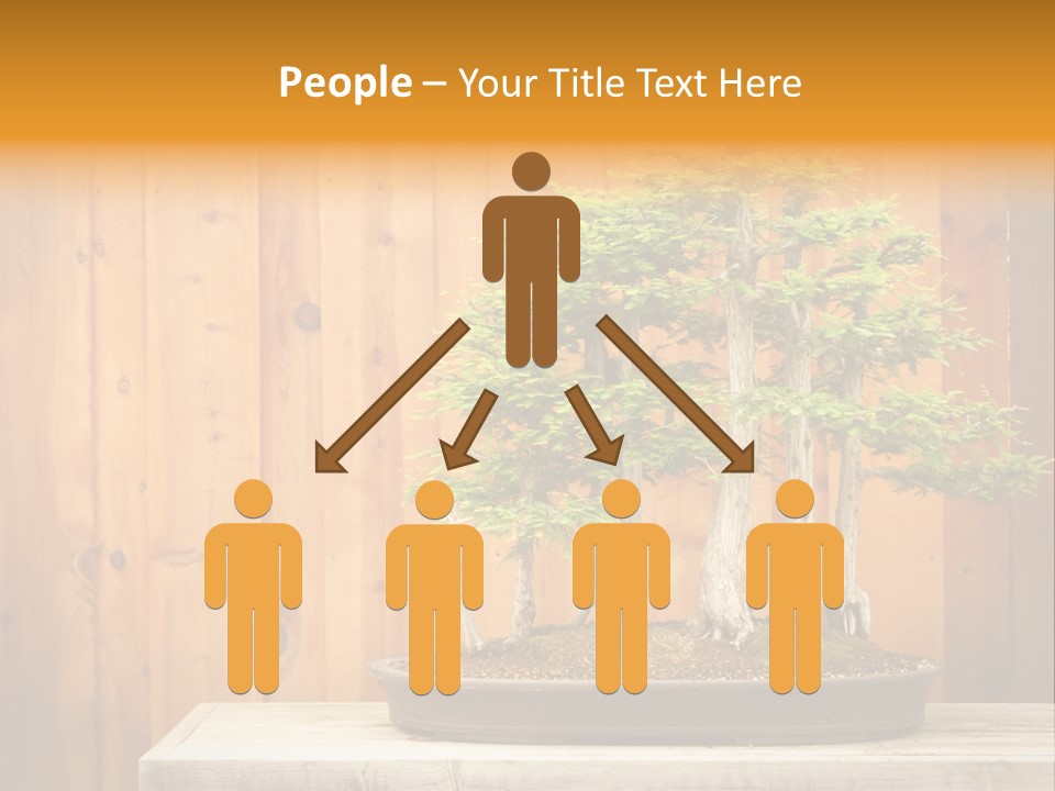 A Bonsai Tree On A Table In Front Of A Wooden Wall PowerPoint Template