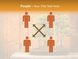 A Bonsai Tree On A Table In Front Of A Wooden Wall PowerPoint Template