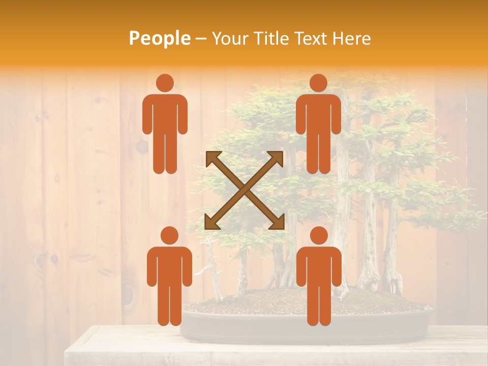 A Bonsai Tree On A Table In Front Of A Wooden Wall PowerPoint Template