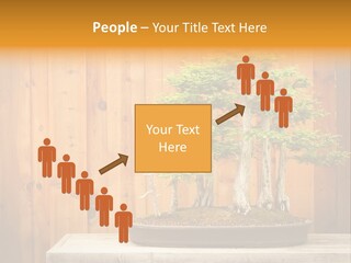 A Bonsai Tree On A Table In Front Of A Wooden Wall PowerPoint Template