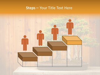 A Bonsai Tree On A Table In Front Of A Wooden Wall PowerPoint Template