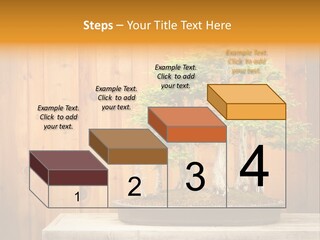 A Bonsai Tree On A Table In Front Of A Wooden Wall PowerPoint Template