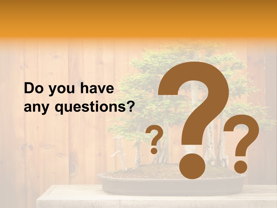 A Bonsai Tree On A Table In Front Of A Wooden Wall PowerPoint Template