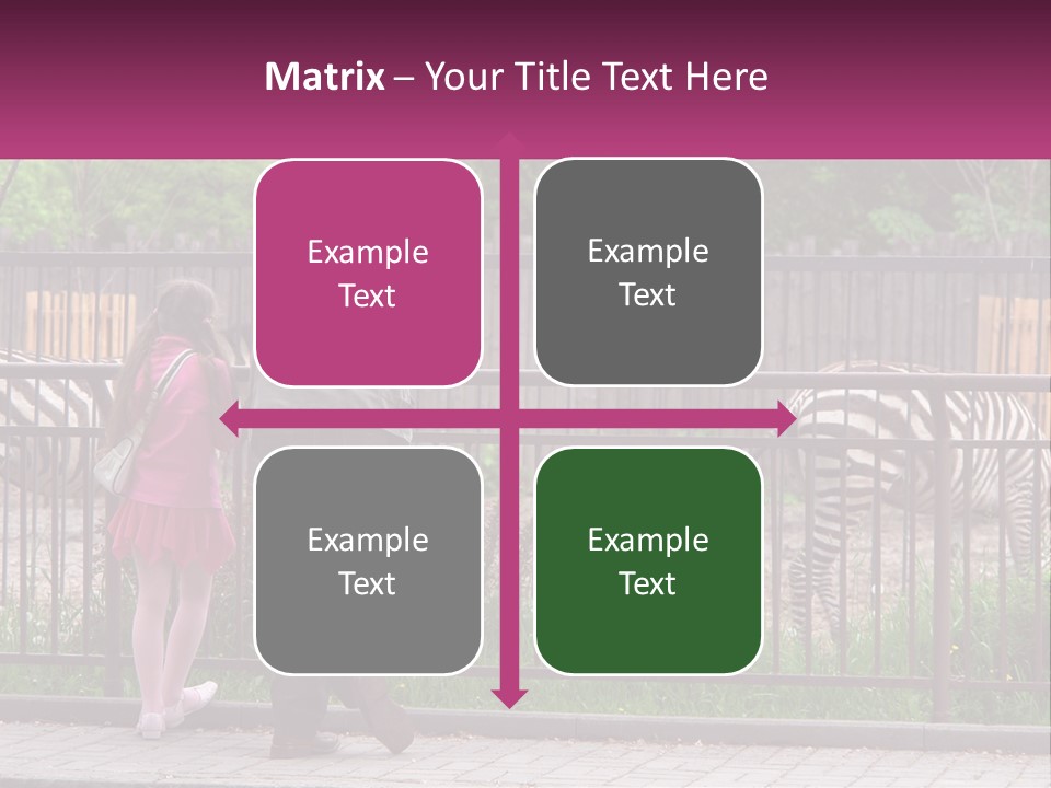 A Man And A Little Girl Are Looking At Zebras PowerPoint Template