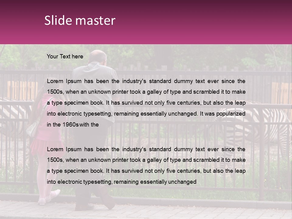 A Man And A Little Girl Are Looking At Zebras PowerPoint Template