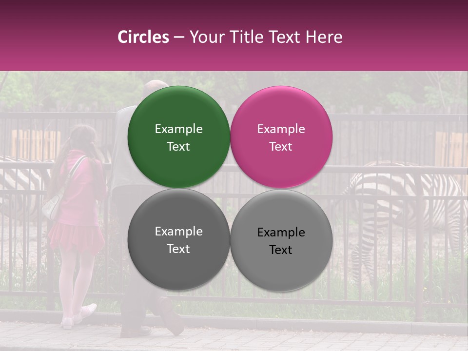 A Man And A Little Girl Are Looking At Zebras PowerPoint Template