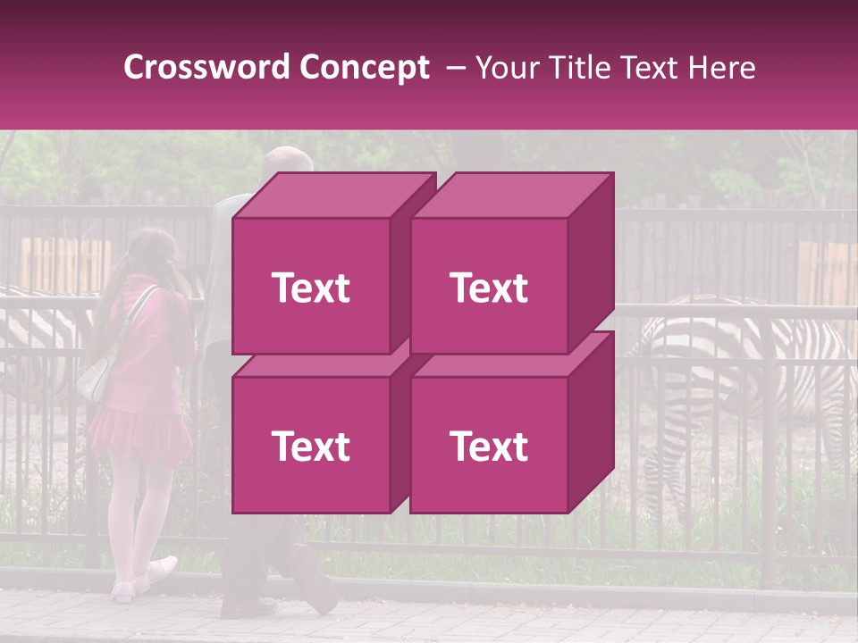 A Man And A Little Girl Are Looking At Zebras PowerPoint Template