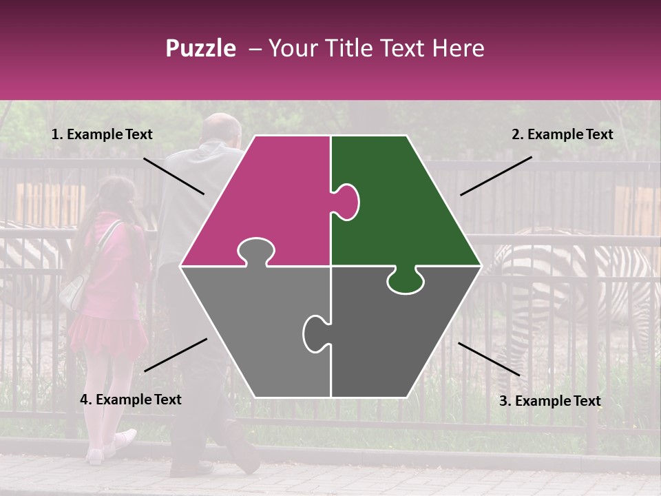 A Man And A Little Girl Are Looking At Zebras PowerPoint Template