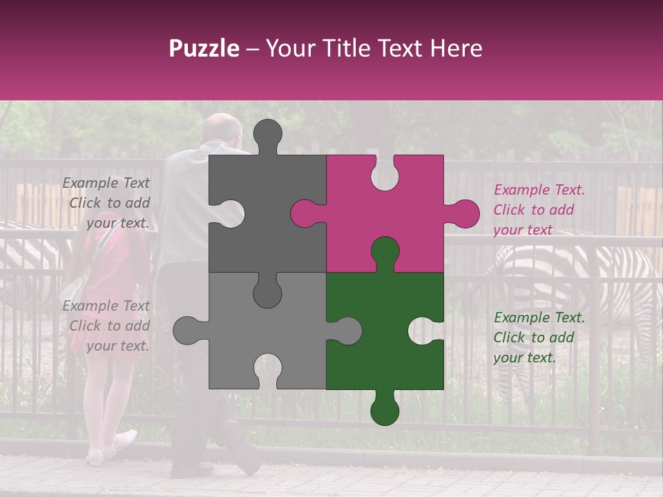 A Man And A Little Girl Are Looking At Zebras PowerPoint Template