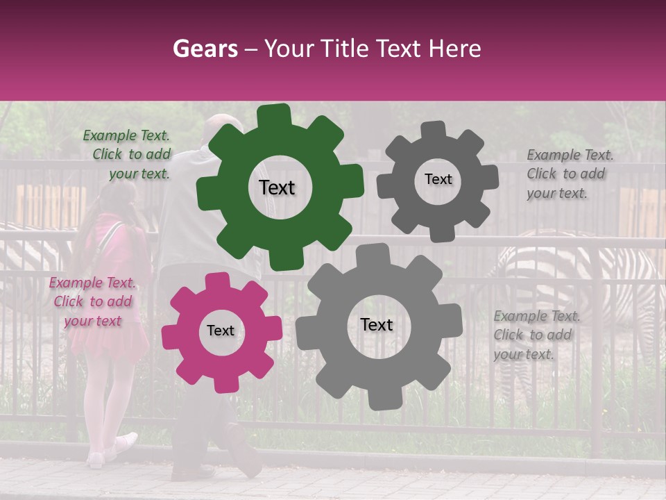 A Man And A Little Girl Are Looking At Zebras PowerPoint Template