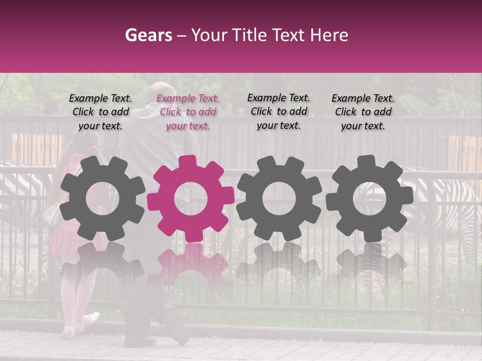 A Man And A Little Girl Are Looking At Zebras PowerPoint Template