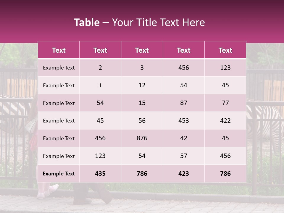 A Man And A Little Girl Are Looking At Zebras PowerPoint Template