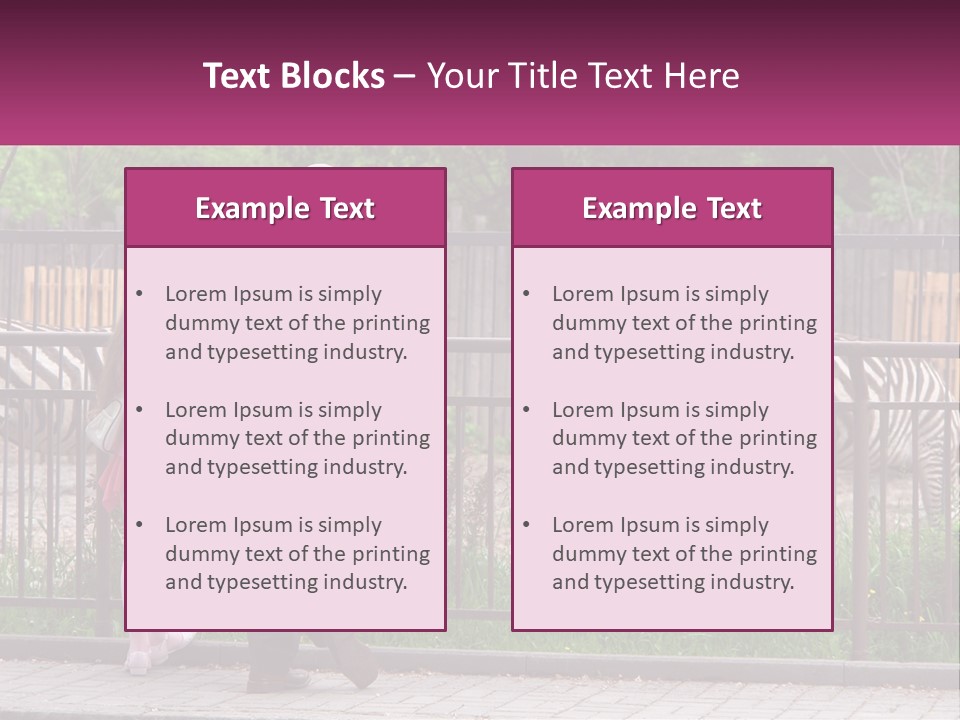 A Man And A Little Girl Are Looking At Zebras PowerPoint Template