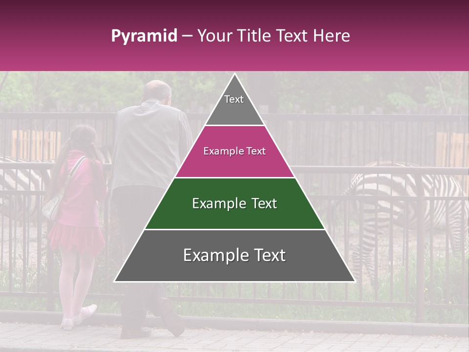 A Man And A Little Girl Are Looking At Zebras PowerPoint Template