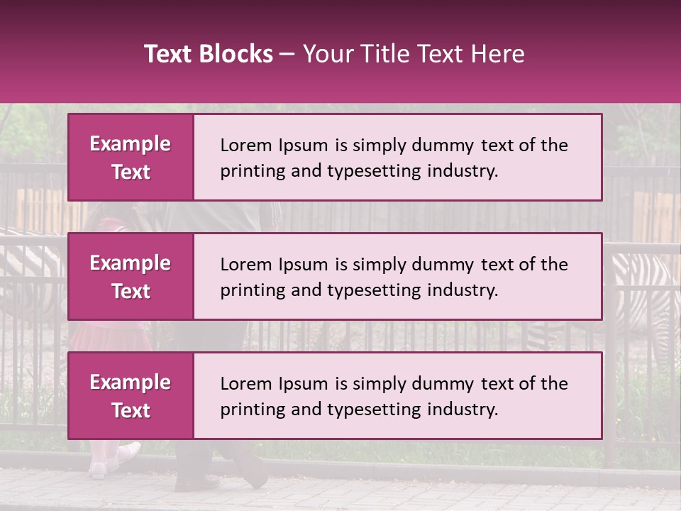A Man And A Little Girl Are Looking At Zebras PowerPoint Template