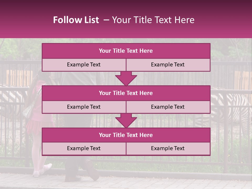 A Man And A Little Girl Are Looking At Zebras PowerPoint Template