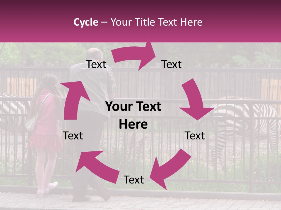 A Man And A Little Girl Are Looking At Zebras PowerPoint Template