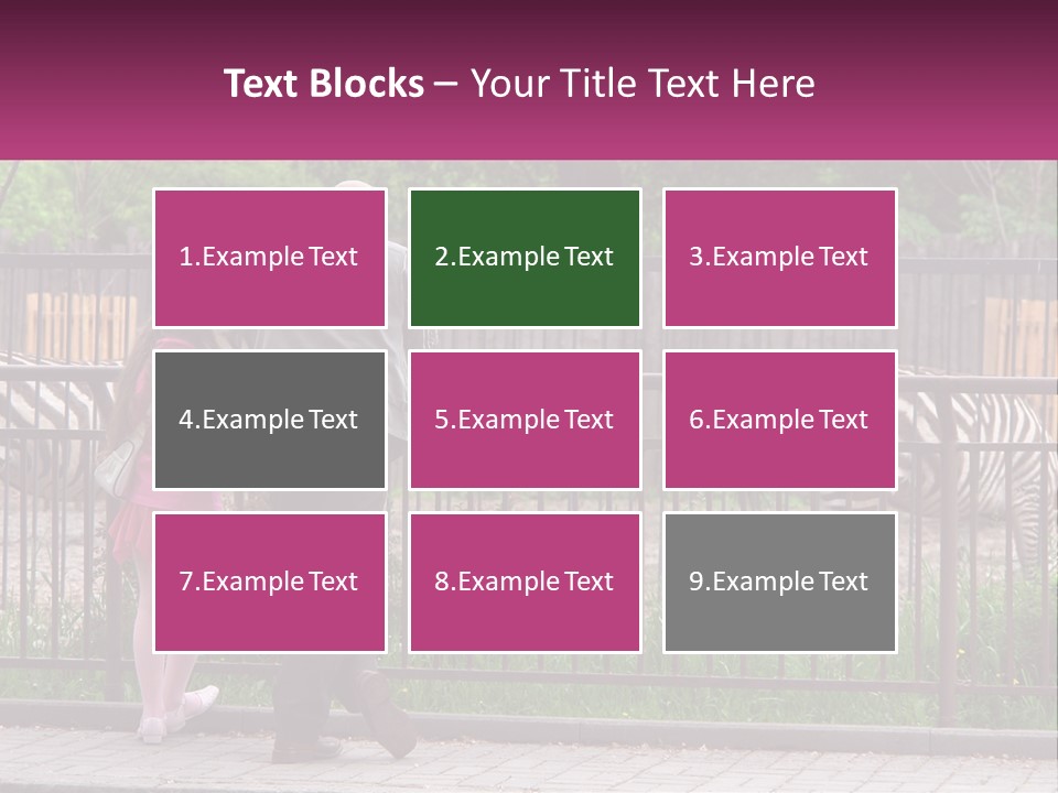 A Man And A Little Girl Are Looking At Zebras PowerPoint Template