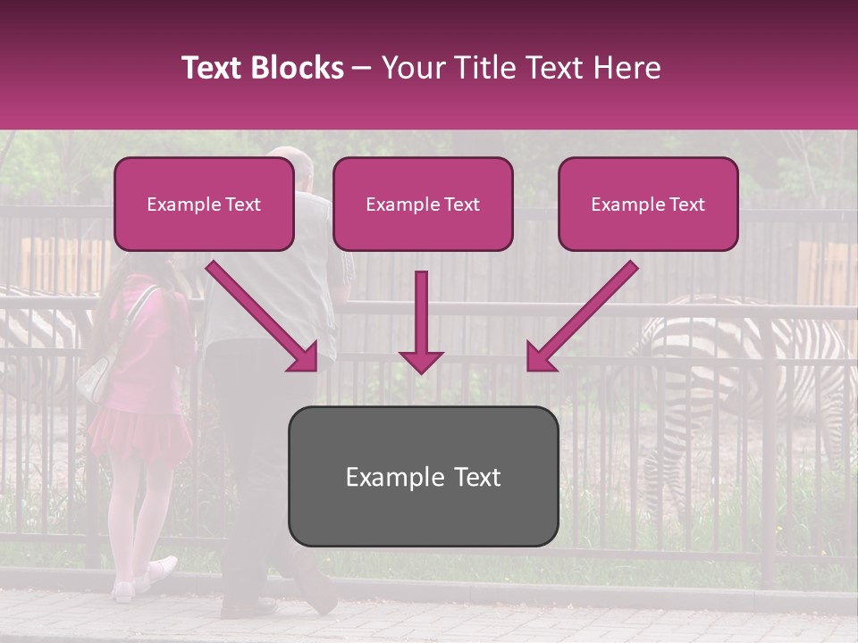 A Man And A Little Girl Are Looking At Zebras PowerPoint Template