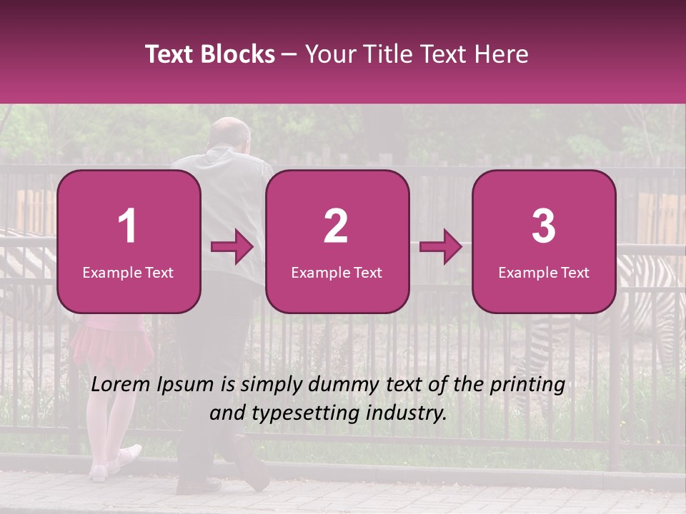 A Man And A Little Girl Are Looking At Zebras PowerPoint Template