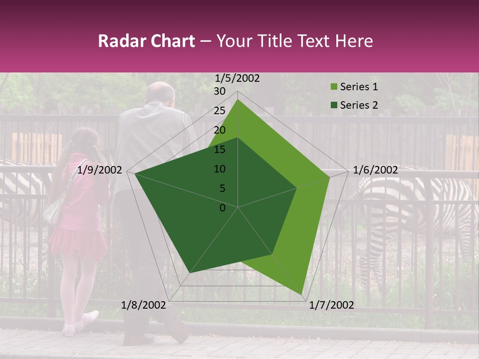 A Man And A Little Girl Are Looking At Zebras PowerPoint Template