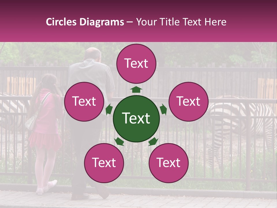 A Man And A Little Girl Are Looking At Zebras PowerPoint Template