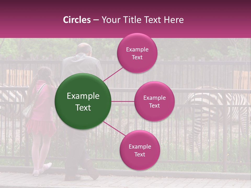 A Man And A Little Girl Are Looking At Zebras PowerPoint Template