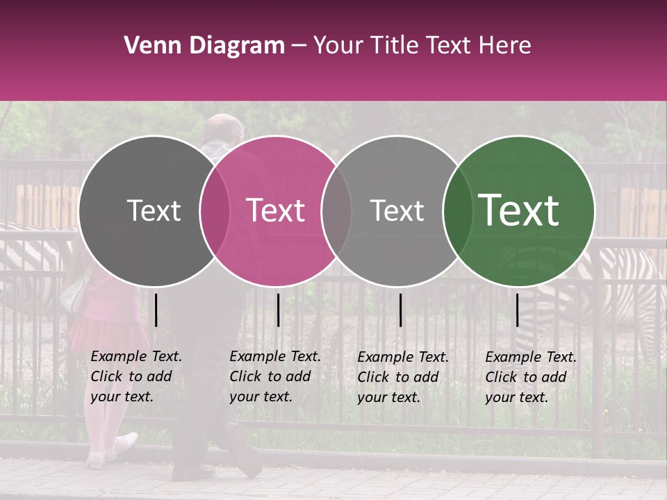 A Man And A Little Girl Are Looking At Zebras PowerPoint Template