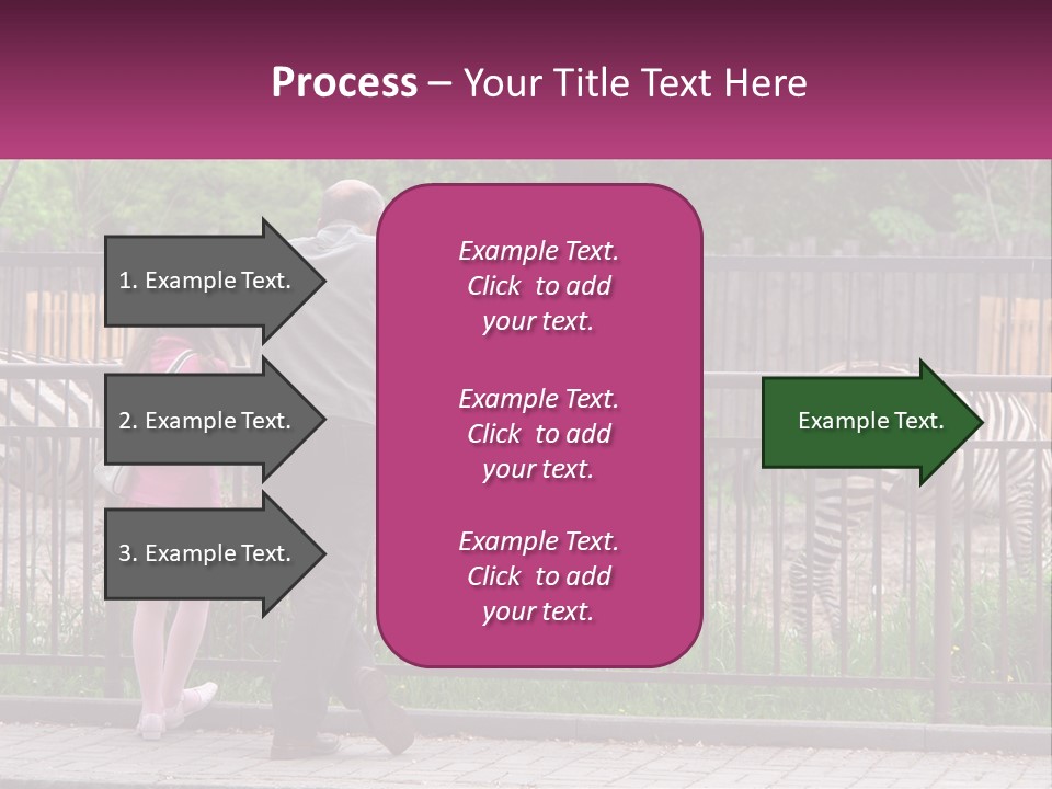 A Man And A Little Girl Are Looking At Zebras PowerPoint Template