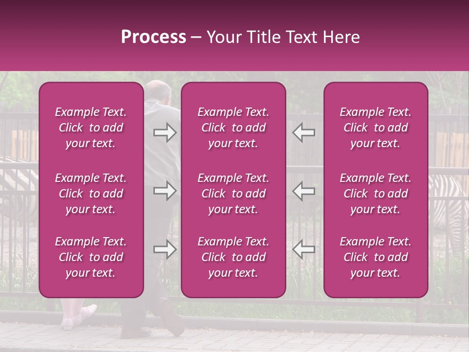 A Man And A Little Girl Are Looking At Zebras PowerPoint Template