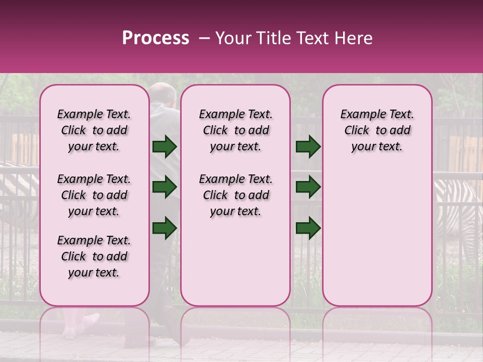 A Man And A Little Girl Are Looking At Zebras PowerPoint Template