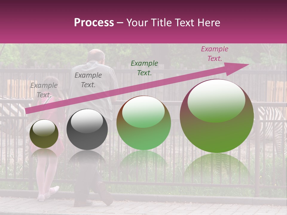 A Man And A Little Girl Are Looking At Zebras PowerPoint Template