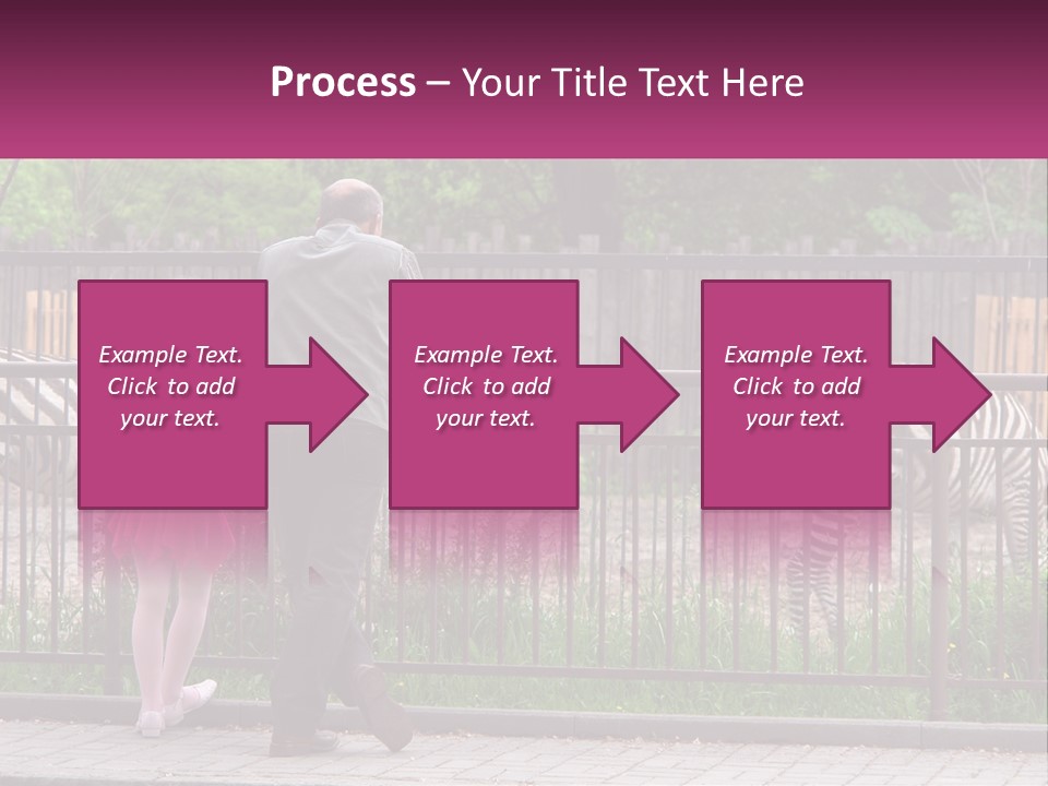 A Man And A Little Girl Are Looking At Zebras PowerPoint Template