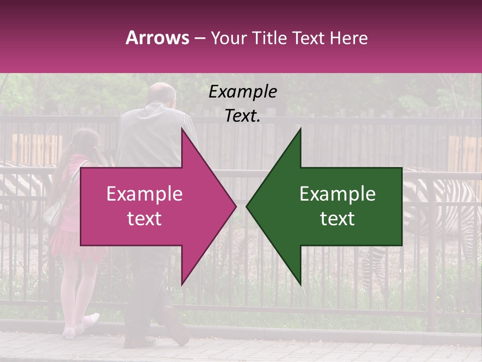 A Man And A Little Girl Are Looking At Zebras PowerPoint Template