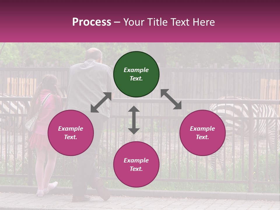 A Man And A Little Girl Are Looking At Zebras PowerPoint Template