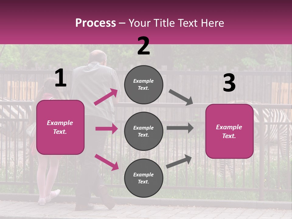 A Man And A Little Girl Are Looking At Zebras PowerPoint Template