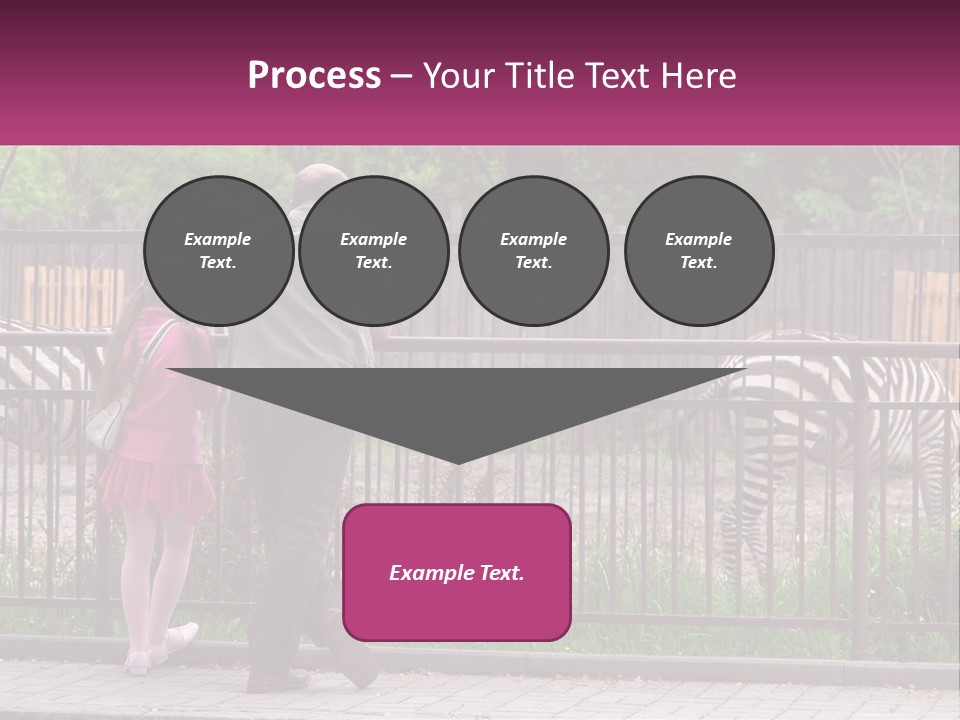 A Man And A Little Girl Are Looking At Zebras PowerPoint Template