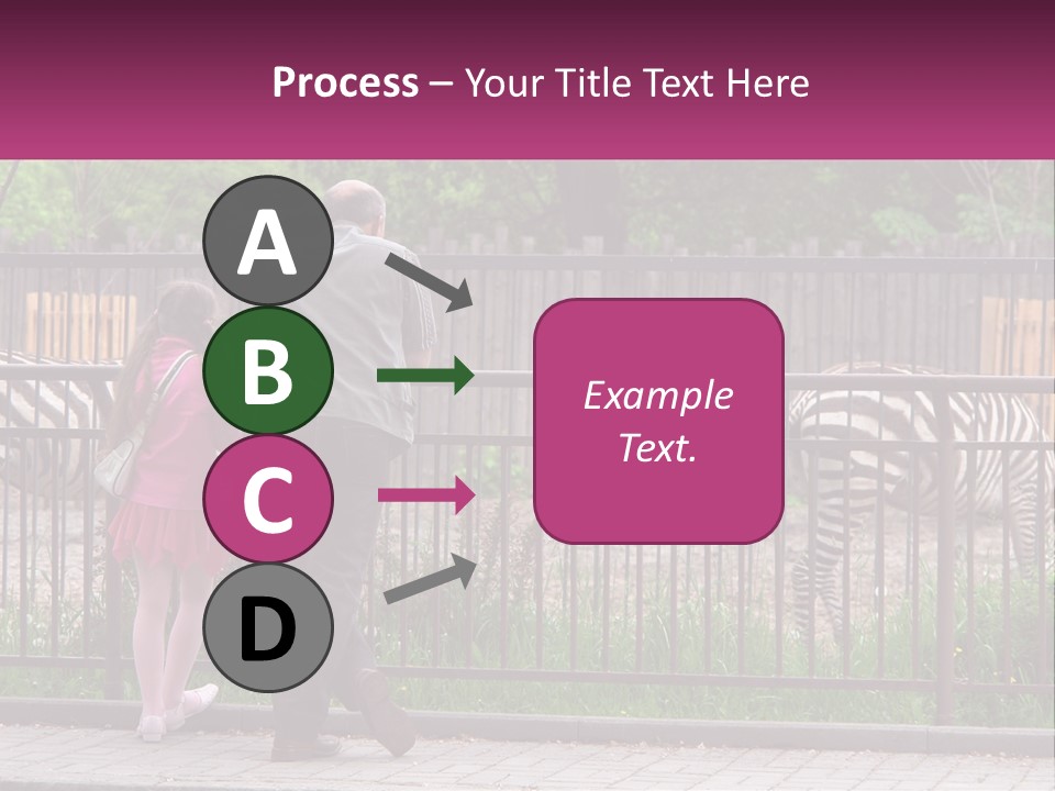 A Man And A Little Girl Are Looking At Zebras PowerPoint Template