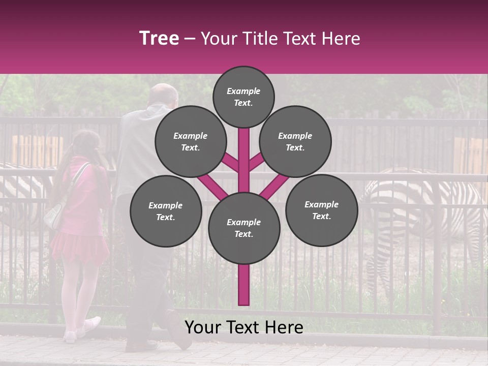 A Man And A Little Girl Are Looking At Zebras PowerPoint Template