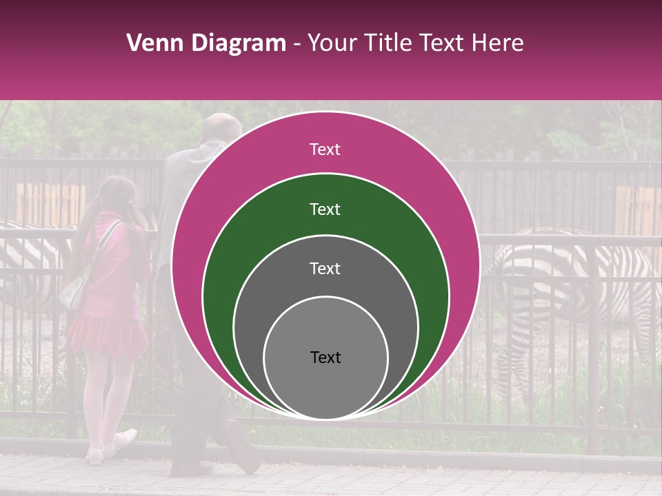 A Man And A Little Girl Are Looking At Zebras PowerPoint Template