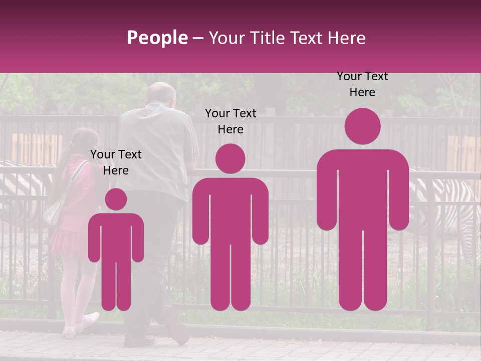 A Man And A Little Girl Are Looking At Zebras PowerPoint Template