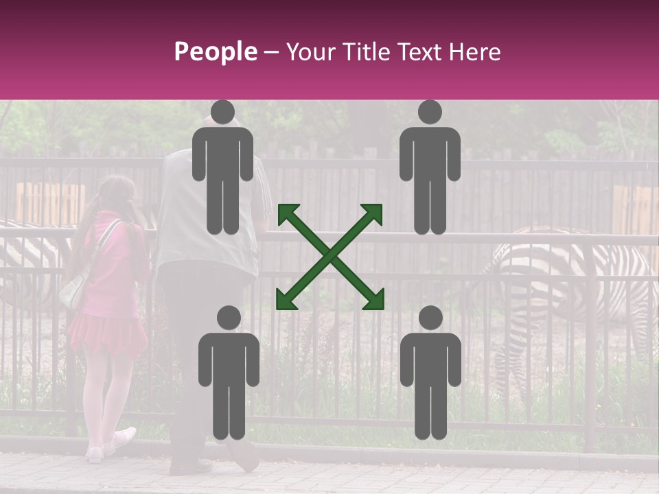 A Man And A Little Girl Are Looking At Zebras PowerPoint Template