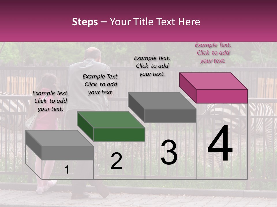 A Man And A Little Girl Are Looking At Zebras PowerPoint Template