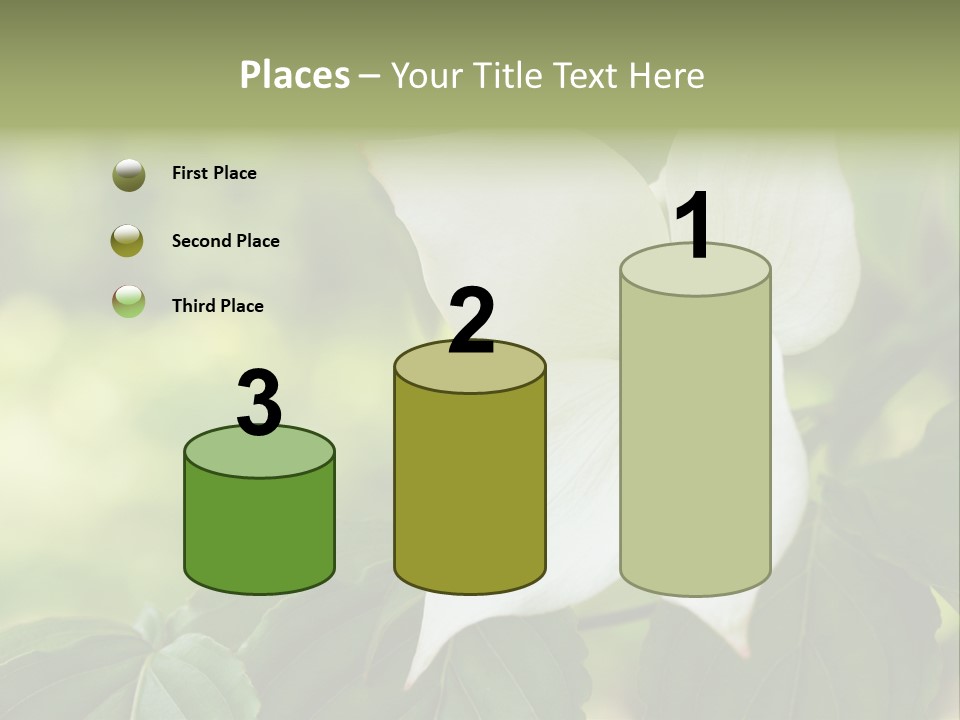 A White Flower With Green Leaves In The Background PowerPoint Template