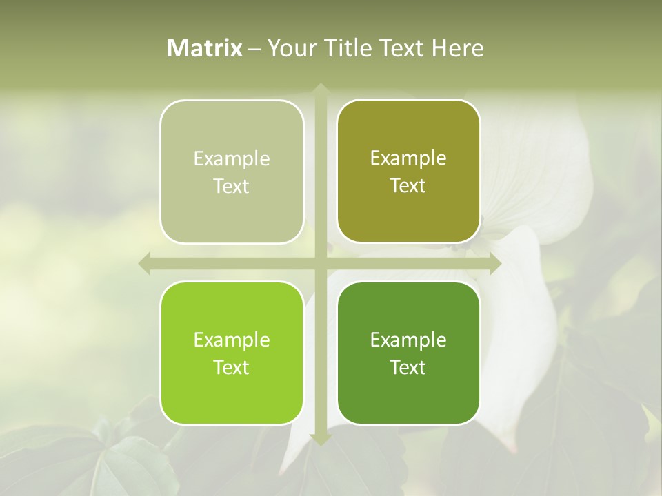 A White Flower With Green Leaves In The Background PowerPoint Template