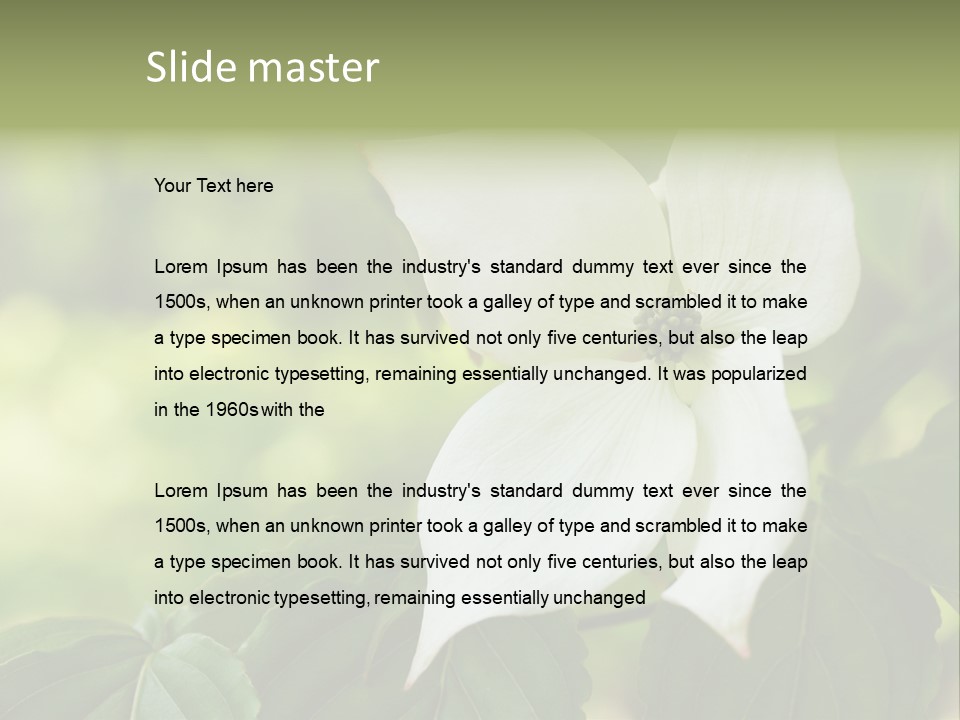 A White Flower With Green Leaves In The Background PowerPoint Template