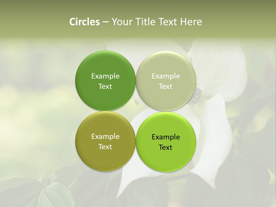A White Flower With Green Leaves In The Background PowerPoint Template